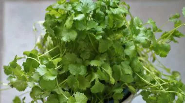 garnishing-instructions-image